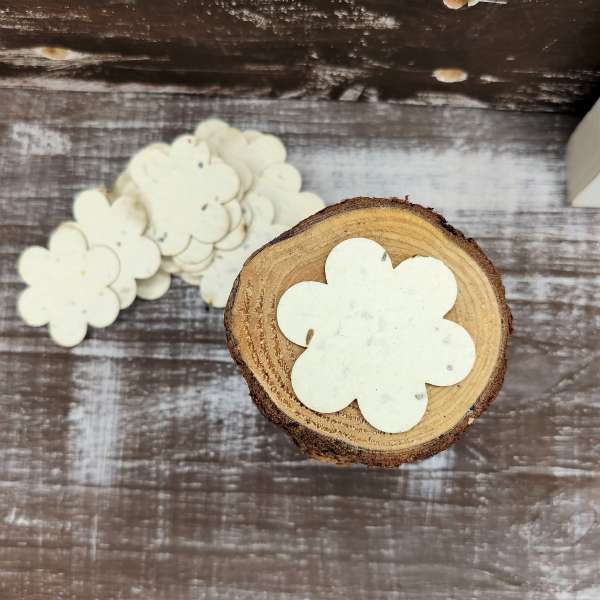 fiore in carta piantabile ecofattoart